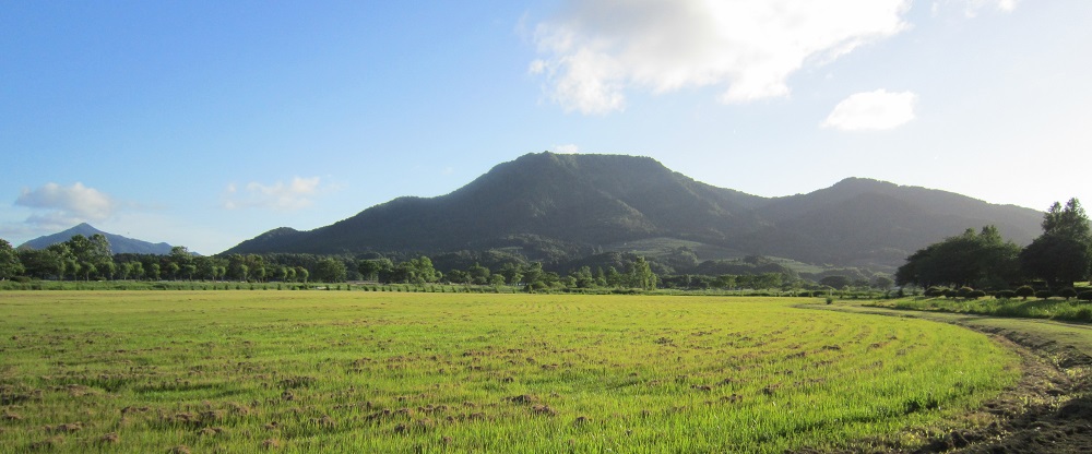 松野尾地域コミュニテイ協議会